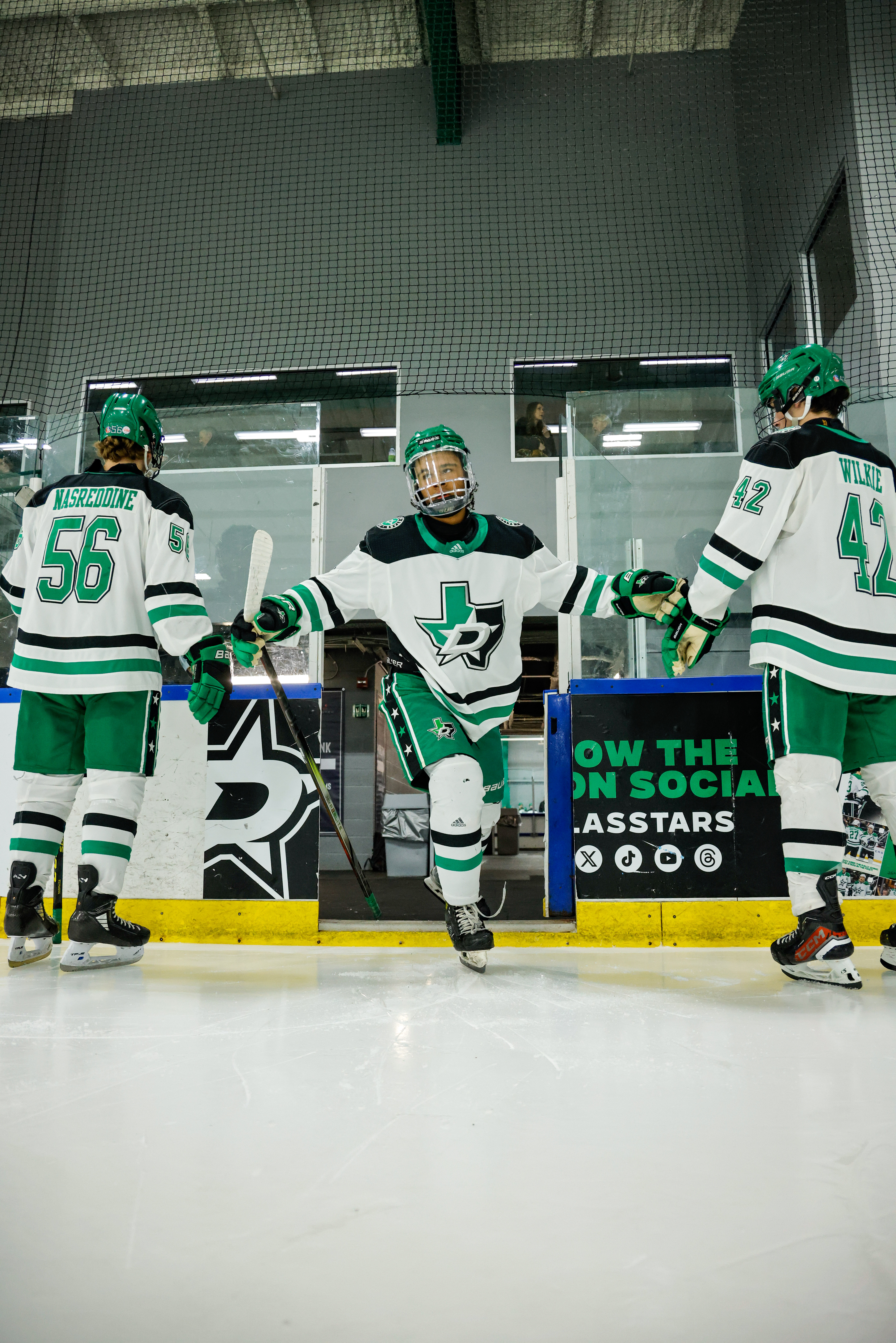 Dallas Stars Hockey